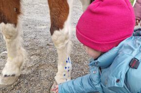 Vorschaubild 20231128_145807.jpg