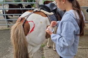 Vorschaubild 20240622_093754.jpg