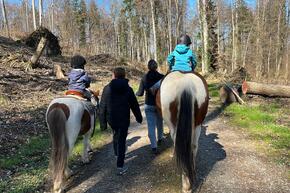 Vorschaubild IMG-20230404-WA0022.jpg