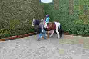 Vorschaubild IMG-20250413-WA0004.jpg