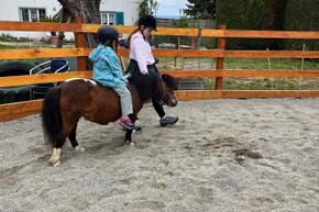 Vorschaubild IMG-20250413-WA0009.jpg